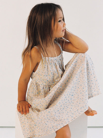 Darcy Dress - Indigo Bloom Print