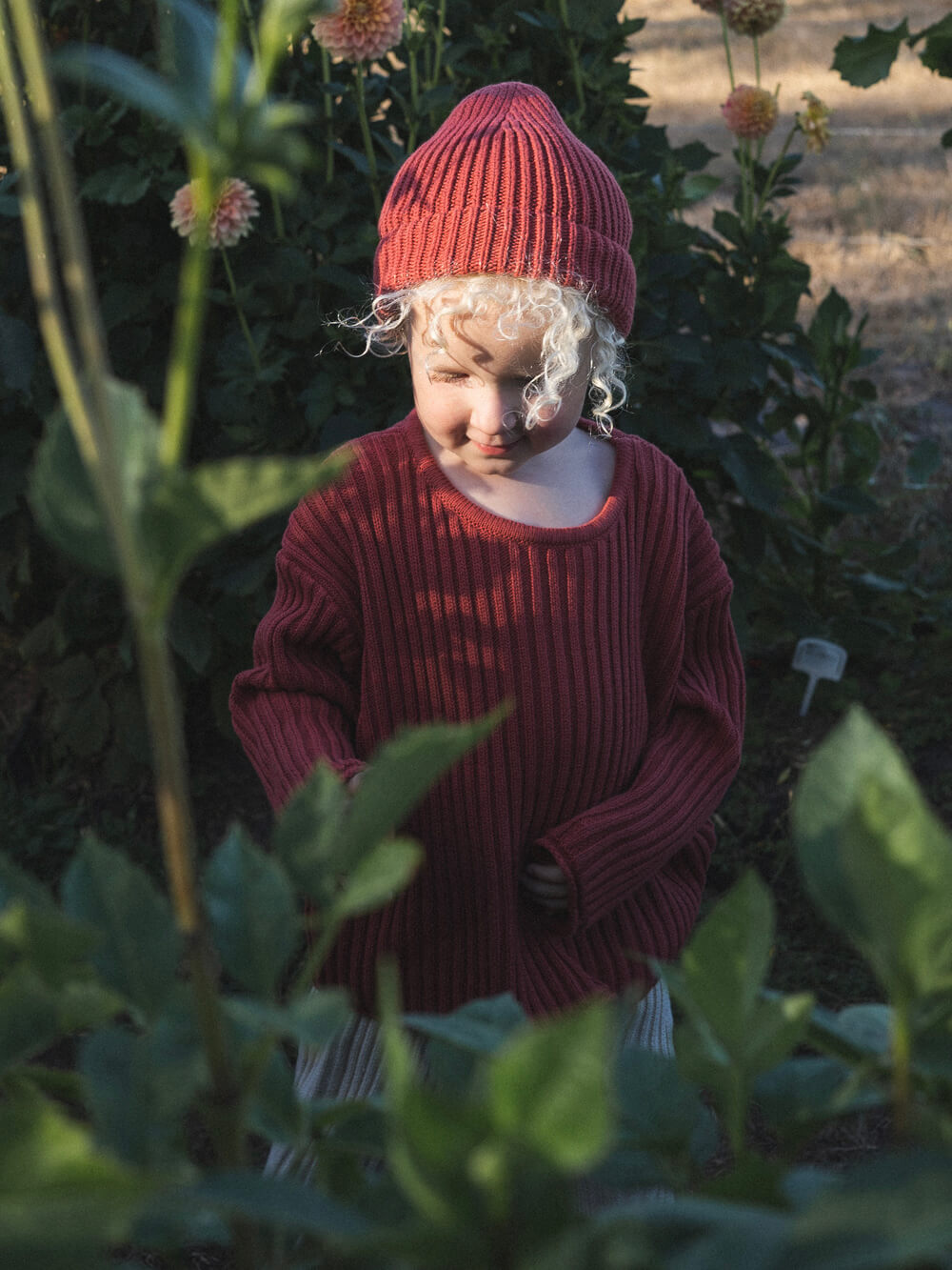 Knit Beanie - Brick