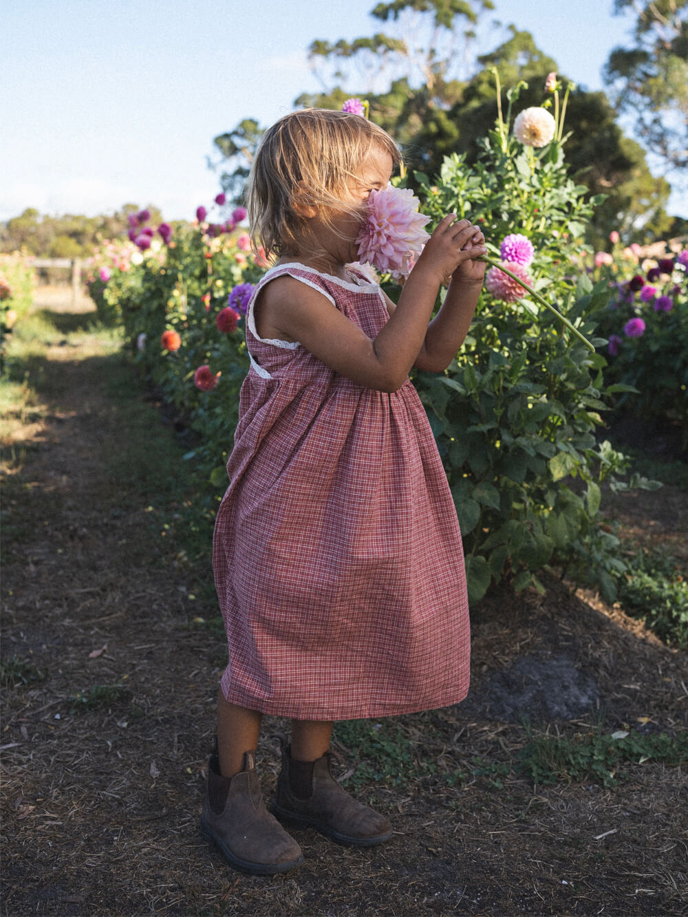Eden Dress - Red Plaid