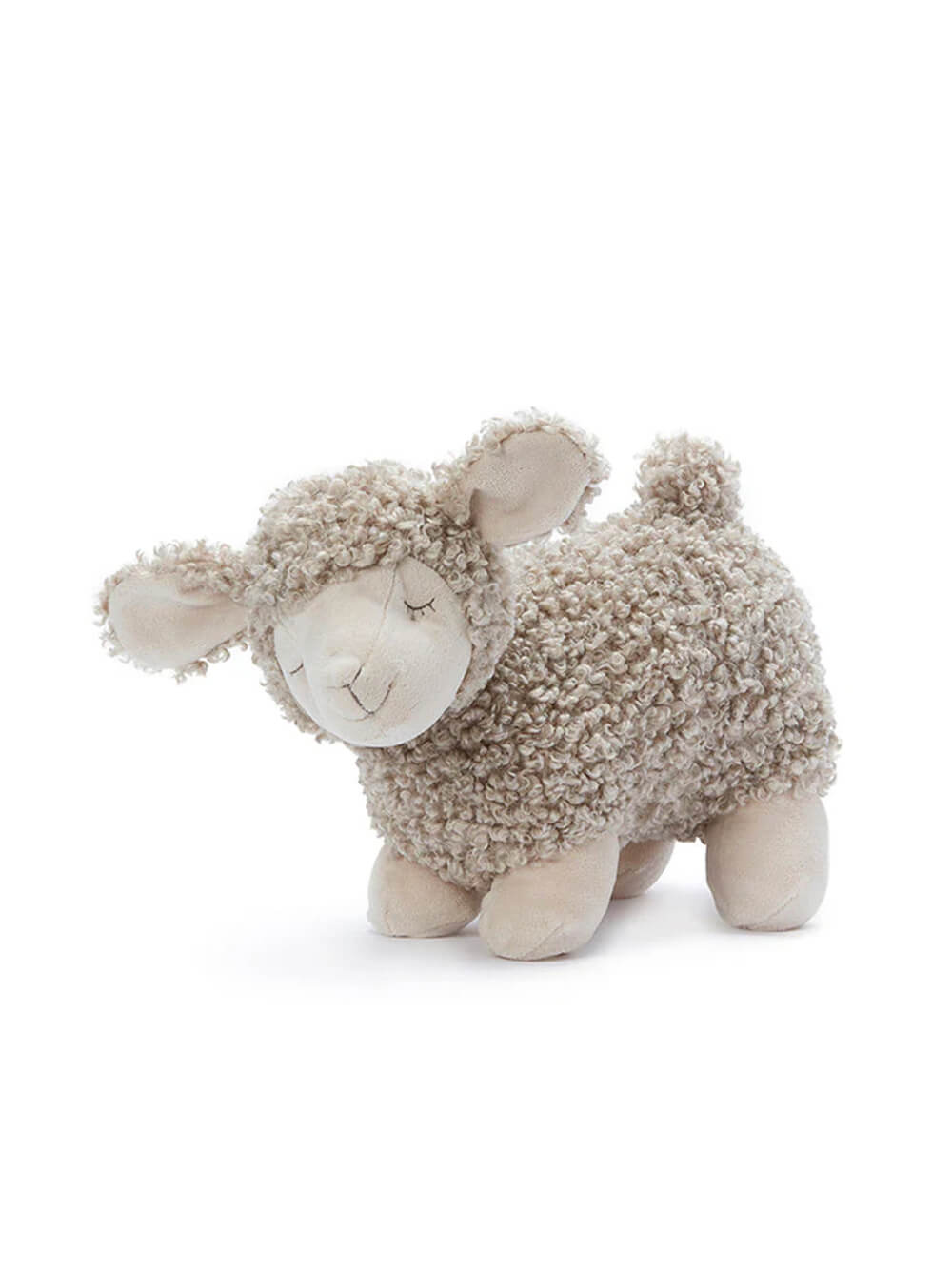Charlotte The Sheep - Cream
